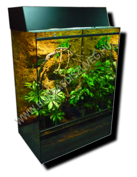 Terrárium háterezve